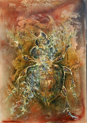 Reflets de la lumière sur la carapace du scarabée VII